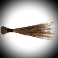 African broom